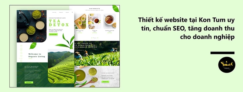 Thiết kế Website Tại Kon Tum Uy Tín