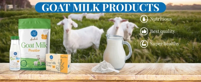 Role of Goat Milk and Goat Milk Products in Treating Dengue Fever