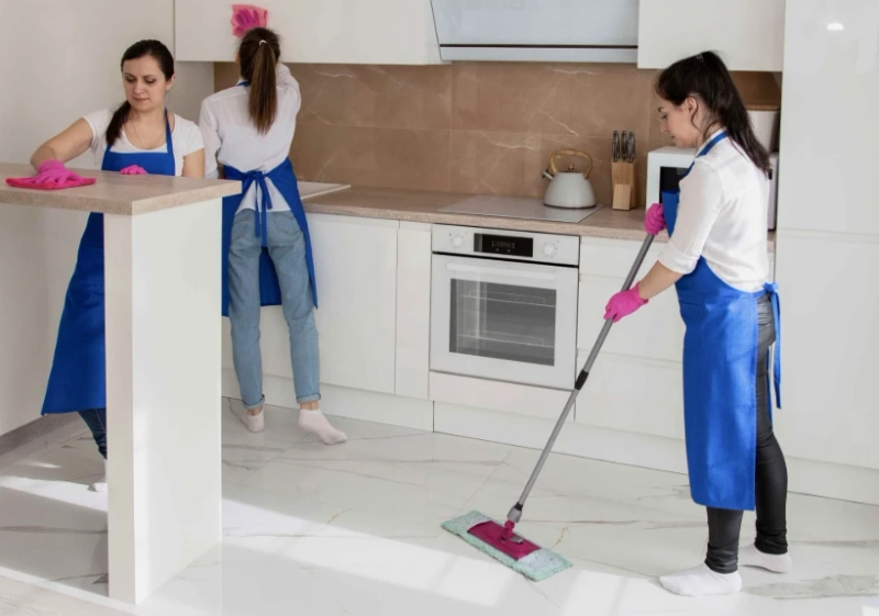 The Importance of Hiring Move-Out Cleaners