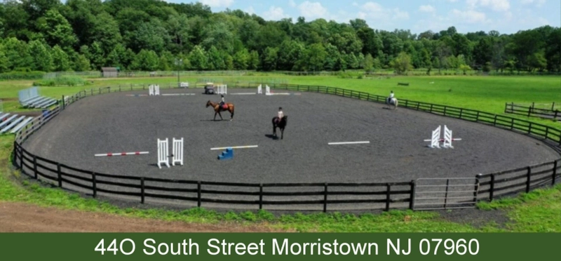 Horsing Around with Style: Planning Your Child's Dream Pony Party