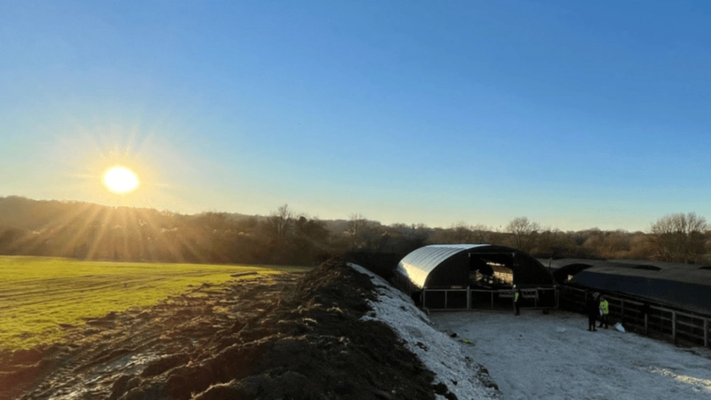 How to Design Dairy Farm Housing and Reasons Proper Shelters Matter