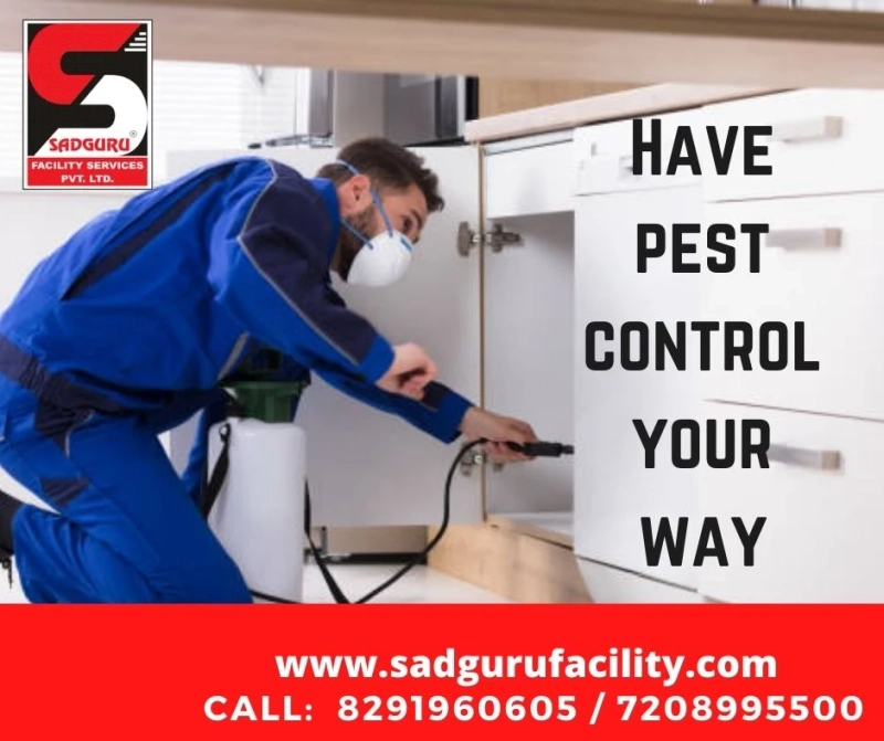 Pest Control Services in Goregaon - Sadguru Pest Control