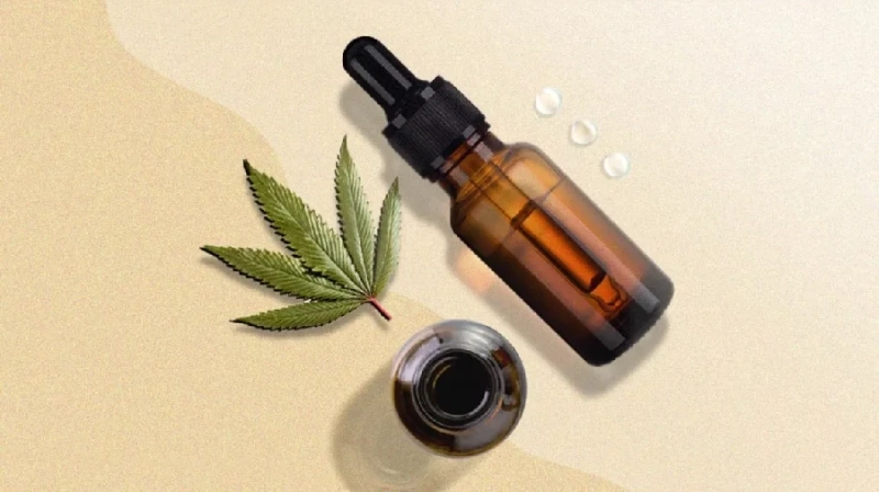 The Comparison Between Hemp Oil and Hemp SEED Oil – What are the Differences