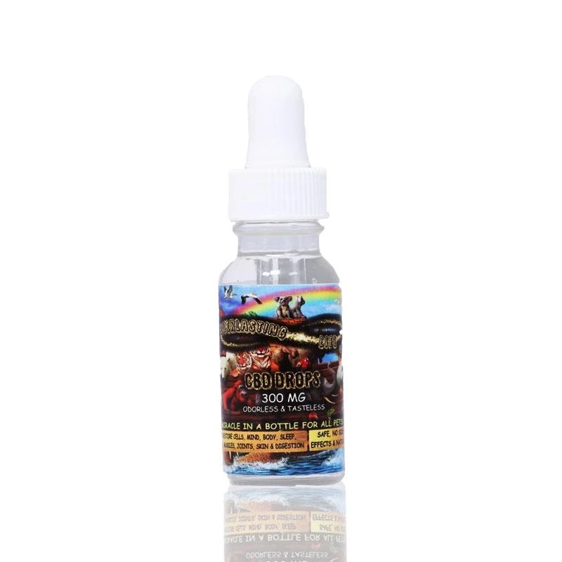 6 Facts on CBD that Every Pet Parent Must Know