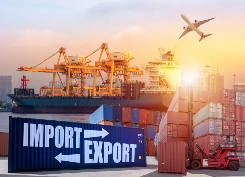 What Is Customs Duty?