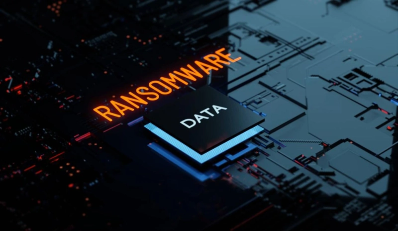 Ransomware-Ready NAS Storage: Snapshots and Immutability