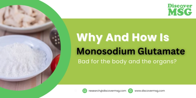 Why and how is monosodium glutamate bad for the body and the organs?