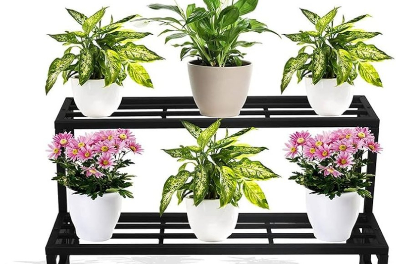 A Beginner's Guide to Orchid Stands