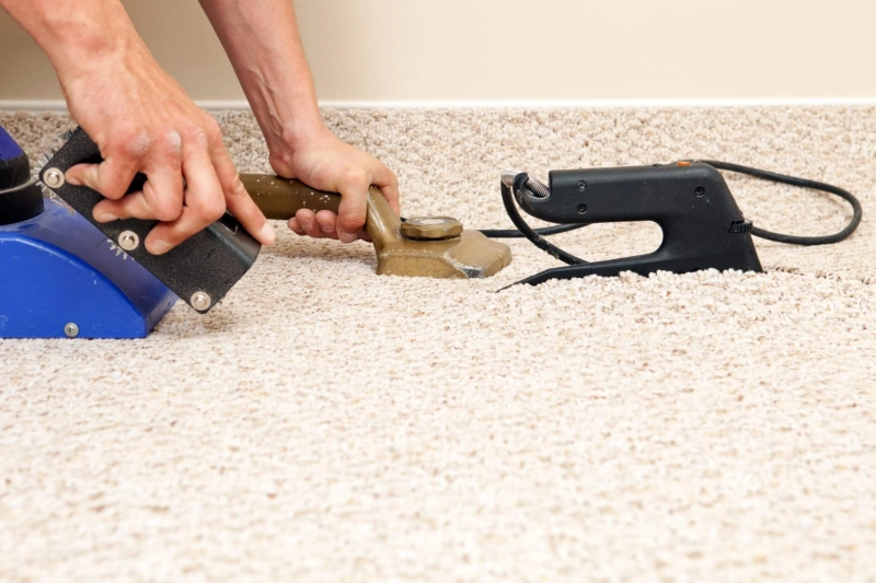 How to Stop Your Carpet from Shredding