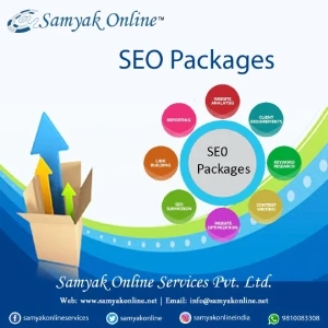 Why Choose Monthly SEO Packages?