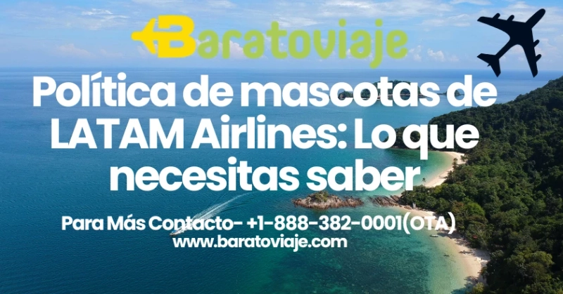 Política de mascotas de LATAM Airlines: Lo que necesitas saber