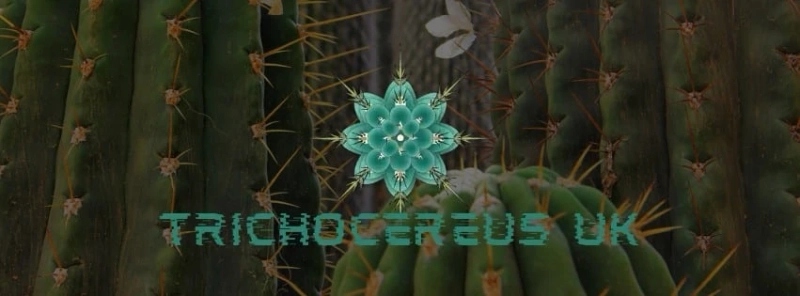 Cactocereus Ltd t/a Trichocereus UK