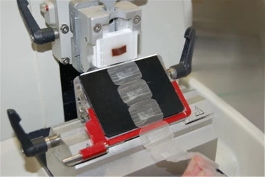 Microtomes Market: Shows Increasing Demand To Be Observed In The Coming Decade