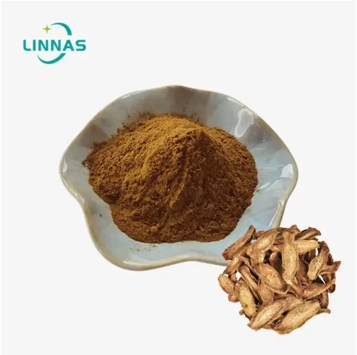 A Beginner's Guide to Using Burdock Root Extract Powder in Cooking