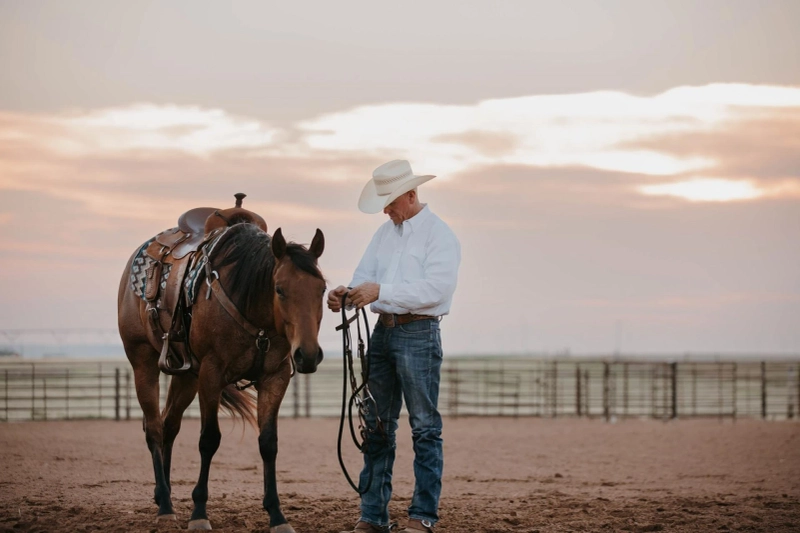 3 Types of Exercises to Incorporate Into Your Horse’s Training Routine