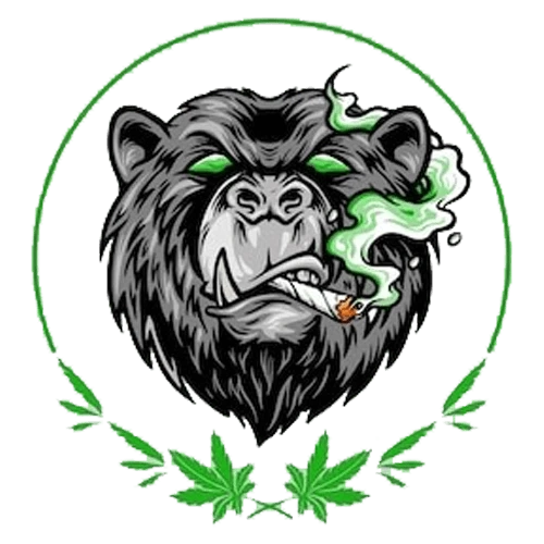 Get High-Quality Cannabis Infused Pre-Roll Online at Bargain Weed DC