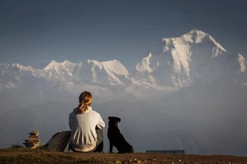 Experience the Sunrise: Poonhill Trek Adventure