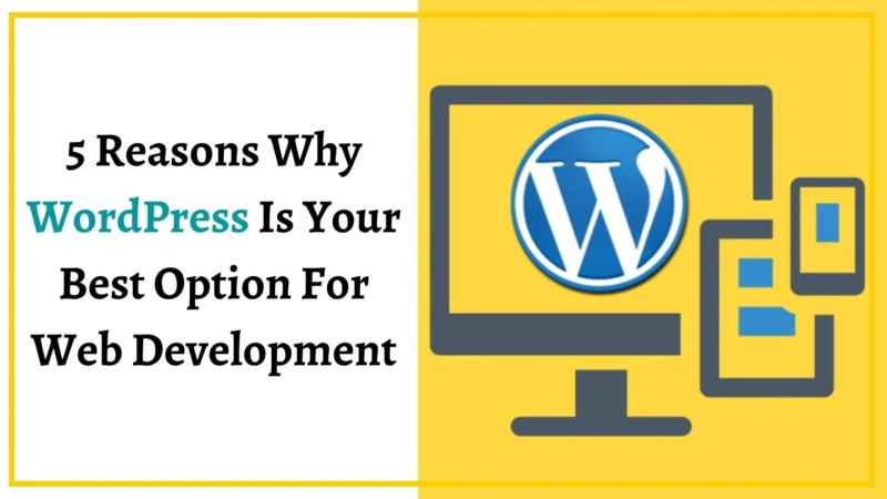5 Reasons Why WordPress Is Your Best Option For Web Development