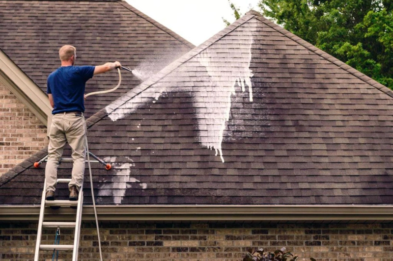 Why roof washing is necessary and worth the effort? | Cleaning Factory