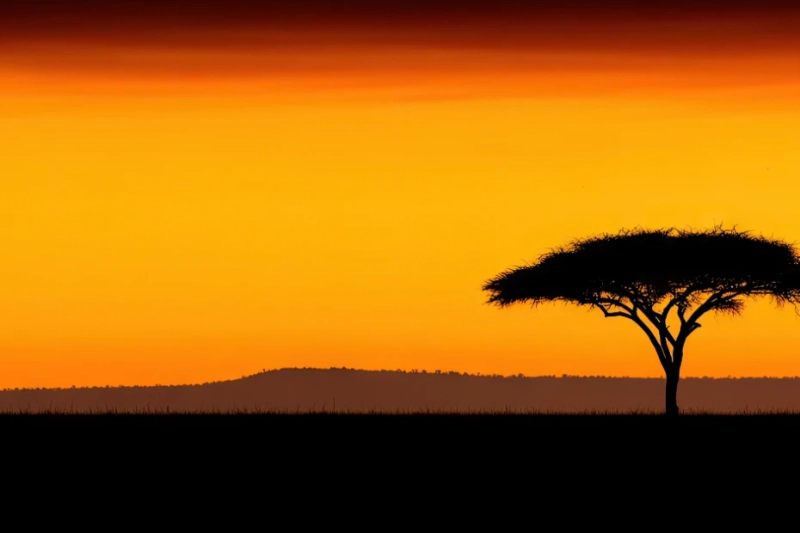 Experiencing Africa While Keeping Kosher