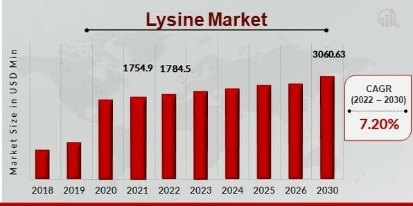 Lysine Market Growth: Global Analysis and Forecast 2024-2030