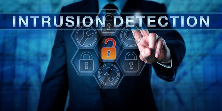 Securing the Digital Frontier: The Intrusion Detection System Market