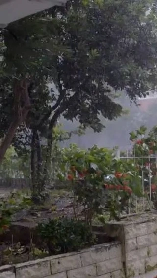 Public Adjuster Florida: Your Trusted Partner for Fair Insurance Claims