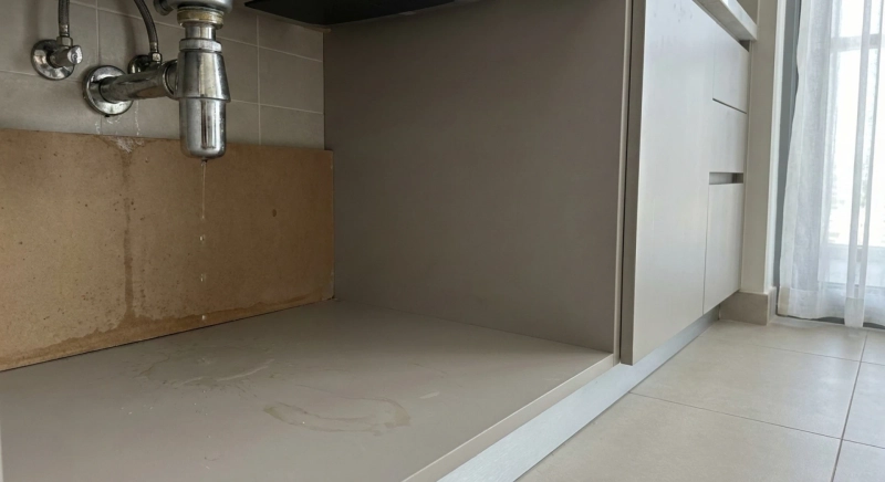 The Big Impact of Small Plumbing Problems: What to Watch For