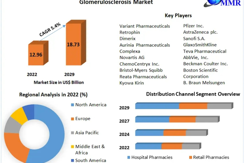 Focal Segmental Glomerulosclerosis Market Outlook: Revenue and Opportunity Analysis 2023-2029