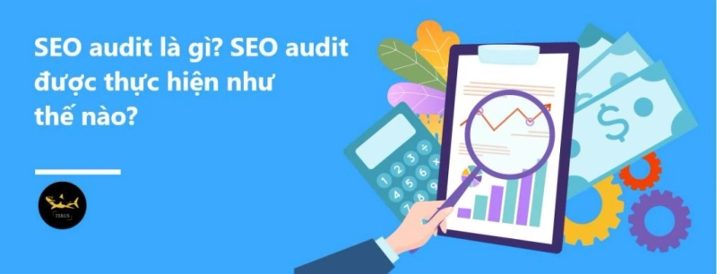 SEO Audit Được Thực Hiện Như Thế Nào - SEO Audit Tạo Hiệu Ứng