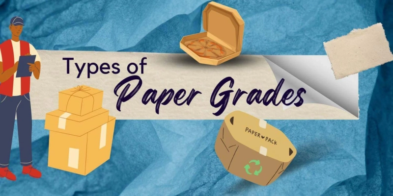 Types of Paper Grades: A Guide for Packaging and Printing