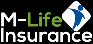 Credit Policies What Type of Life Insurance Are They?