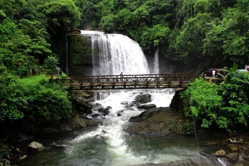 Book the Best Meghalaya Tour Packages for the Festive Season