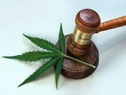 Missouri Marijuana Law Updates: 2023 Edition