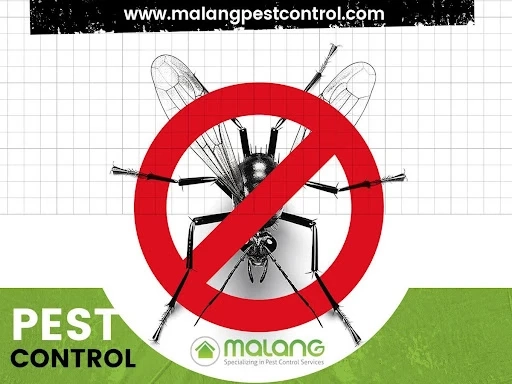 Sustaining Mosquito Control: The Crucial Role of Regular Maintenance and Monitoring