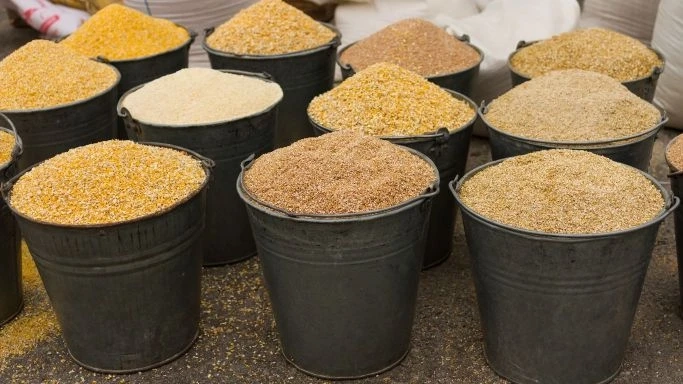 Latin America Animal Feed Market Share, Size, Analysis, Demand and Forecast 2022-27