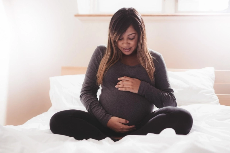 The Top Egg Donor Companies in the USA: A Comprehensive Guide
