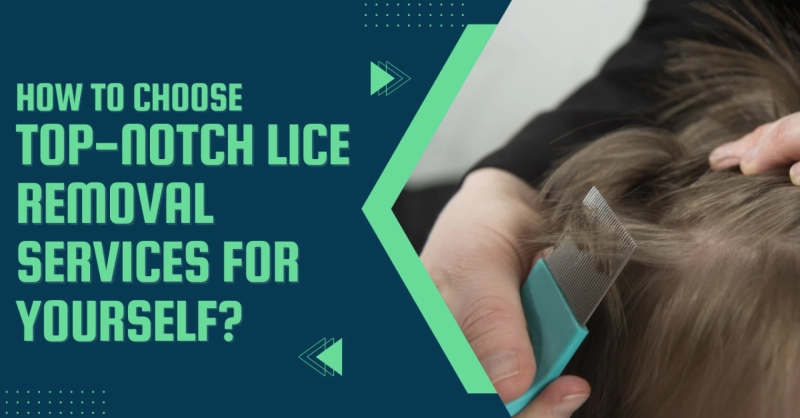 How To Choose Top-Notch Lice Removal Services For Yourself