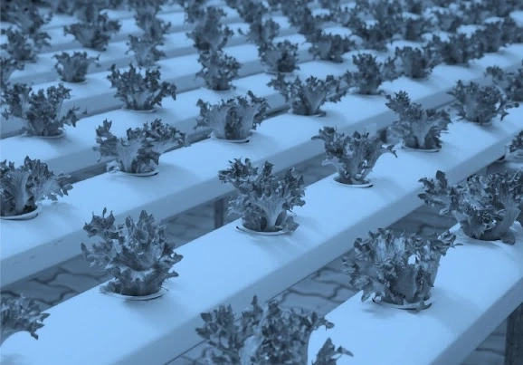Aquaponic and Hydroponic Systems and Equipment Market Manufacturers by BIS Research