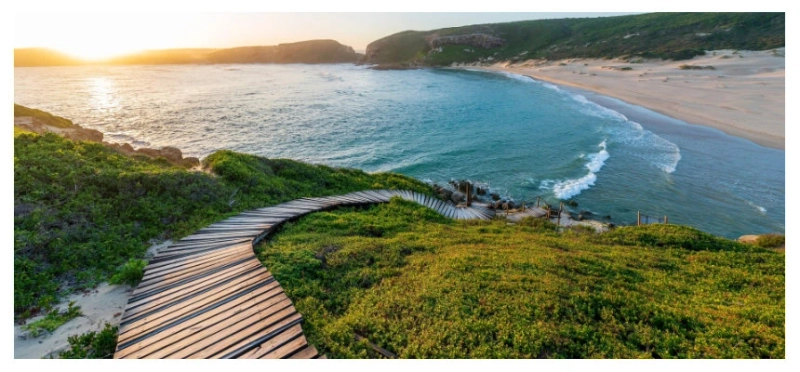 Best Garden Route Road Trip: Port Elizabeth to Cape Town