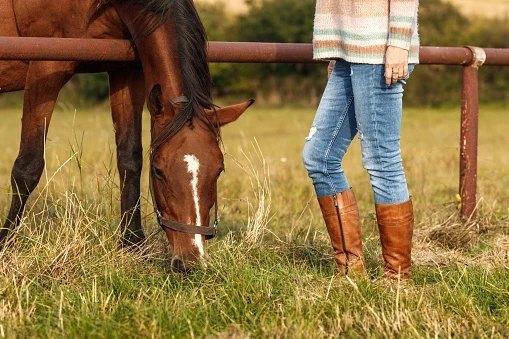 Paddock Boots Ontario Up Keep from Sweat Is Vital