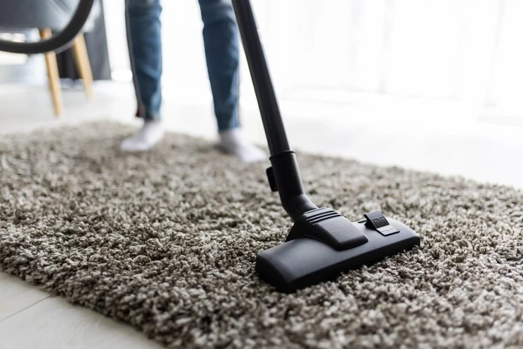 How to Choose Professional Carpet Cleaners in Boston, MA for Long-Lasting Results?
