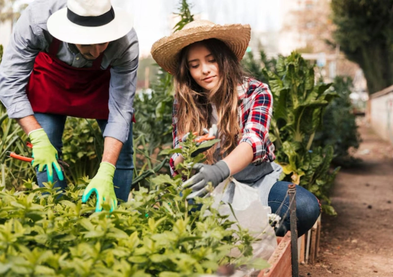 Benefits Of Studying Agriculture Courses After 12th
