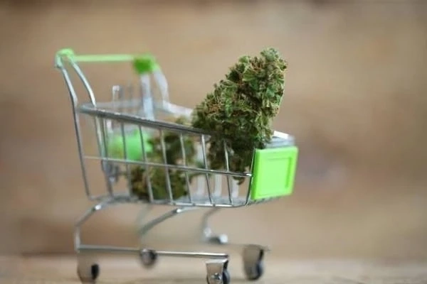 The Future of Online Dispensaries: Trends and Innovations Shaping the Industry