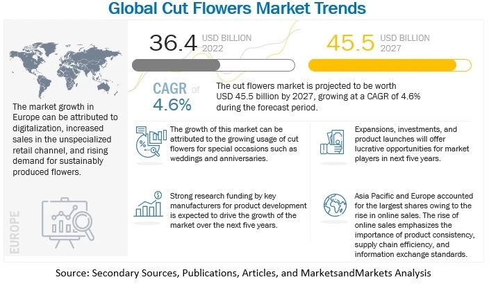 Cut Flowers Market has Witnessed Emerging Trends in Recent Years