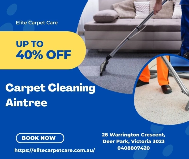 Preventing Mould Growth After Carpet Cleaning