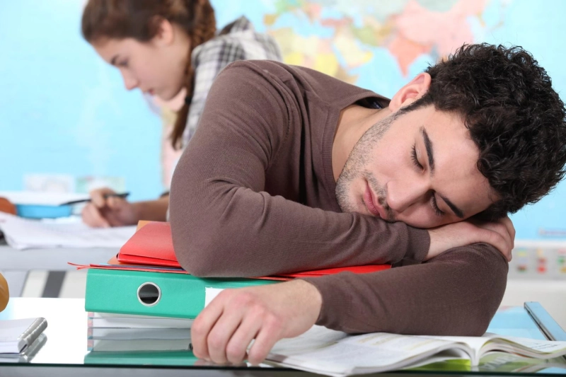 What is the Cause of Narcolepsy in Humans?