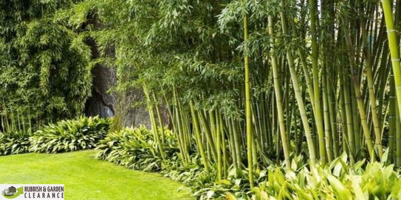 Garden clearance Merton: How to make use of garden garbage