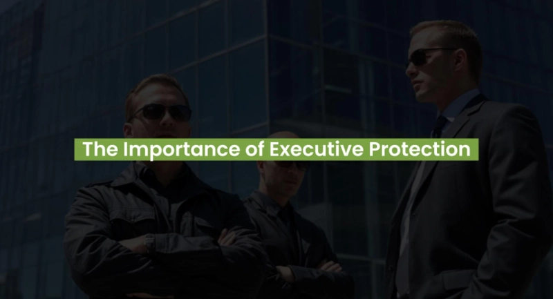 7 Simple Ways Executive Protection Services Work to Keep People Safe
