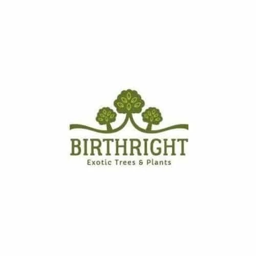 Birth Right For All